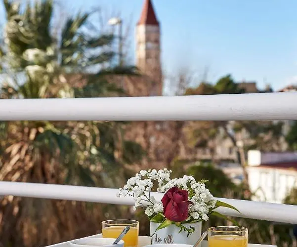 Damare トロギール