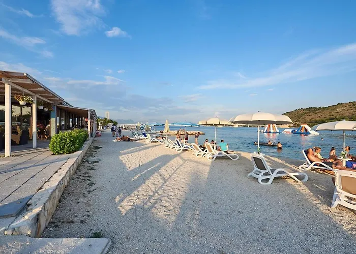 Damare トロギール