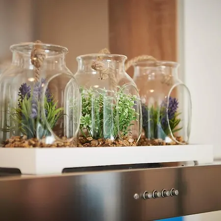 Damare 아파트 트로기르